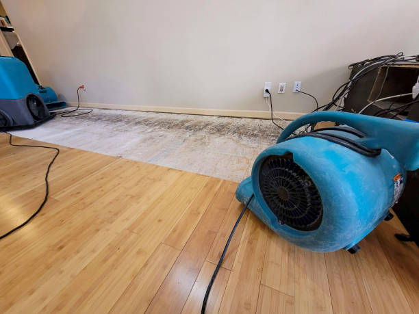 Professional Emergency Water Damage technician working in Surry, ME